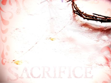 Sinless%20Sacrifice