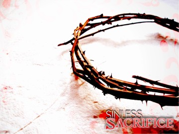 Sinless%20Sacrifice