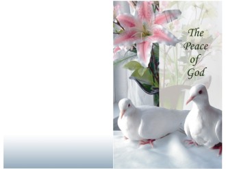 Two%20Doves%20with%20Pink%20Flowers