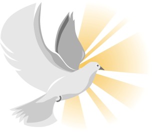 Dove%20with%20Shades%20of%20Gray%20and%20Gold%20Rays