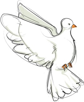 Flying%20Dove%20Sketch