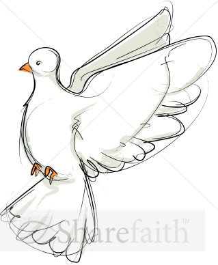 Flying%20Dove%20Sketch%20Facing%20Left