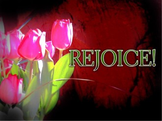 Rejoice%20with%20Pink%20Tulips