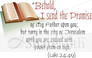 Promise of My Father