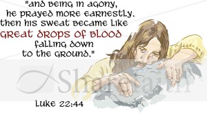 Jesus%20in%20Agony%20in%20Gethsemane