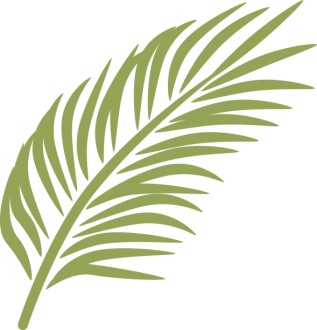 Single%20Palm%20in%20Calming%20Green
