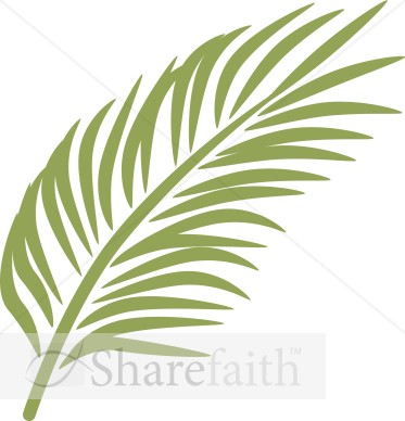 Single%20Palm%20in%20Calming%20Green