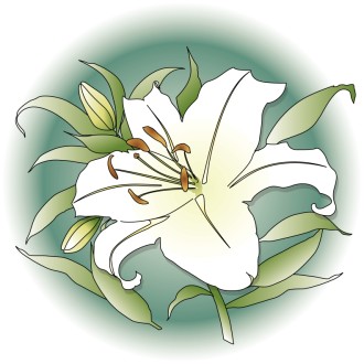 Spring%20Lily%20with%20Green%20Circle