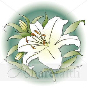 Spring Lily with Green Circle