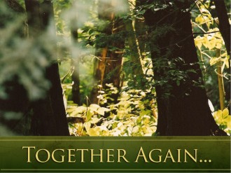 Together%20Again%20in%20Forest