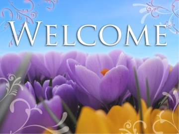 Welcome with Sky and Purple Flowers