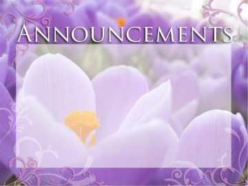 Welcome with Sky and Purple Flowers