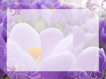 Welcome with Sky and Purple Flowers