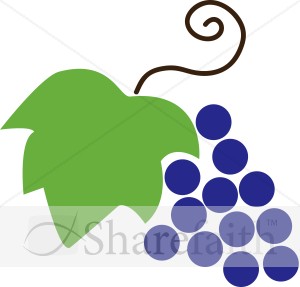 Grapes and Leaf