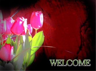 Tulips%20with%20Welcome