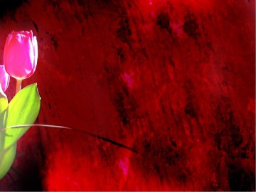 Tulips%20with%20Welcome