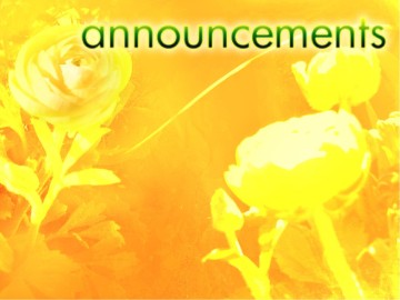 Yellow%20Roses%20and%20Announcements