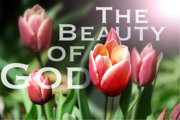 Beauty%20of%20God%20with%20Tulips