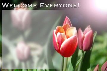 Beauty%20of%20God%20with%20Tulips