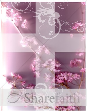 Pink%20Blossoms%20and%20Cross