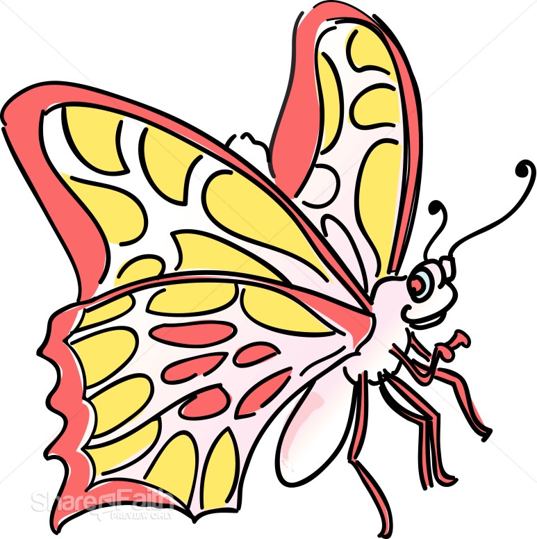 Friendly%20Butterfly