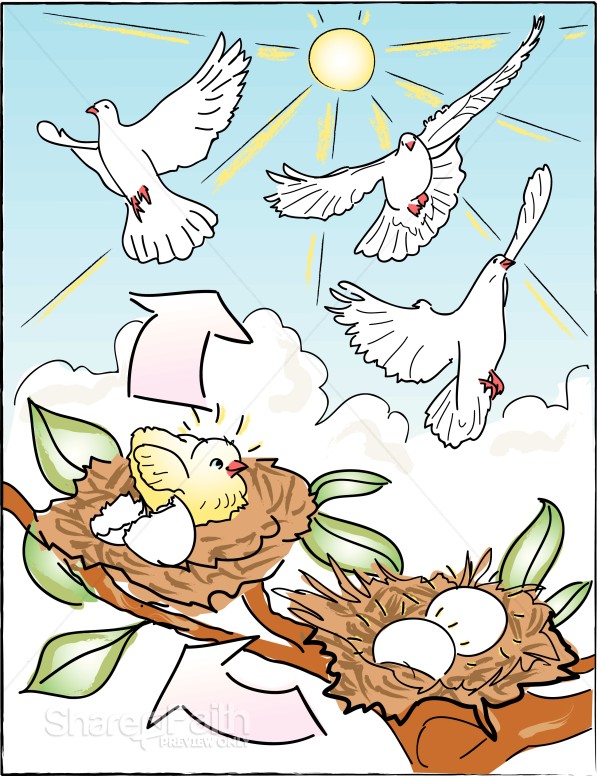 Eggs%20to%20Birds%20in%20Color