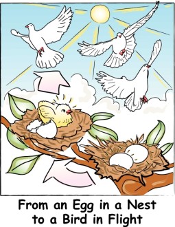 Eggs%20in%20the%20Nest%20to%20Flying%20Birds