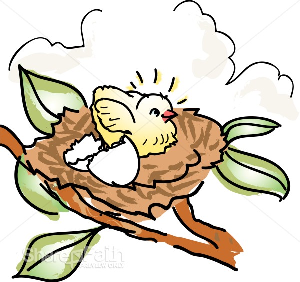 Baby%20Bird%20in%20a%20Nest