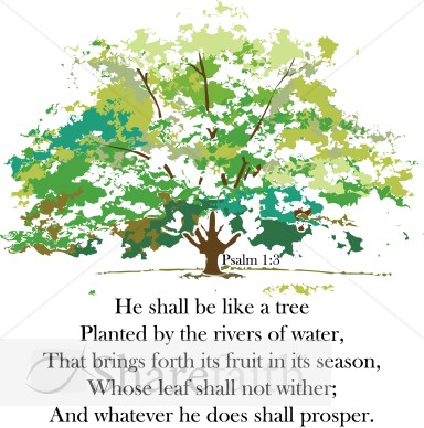 A%20Tree%20Planted%20by%20Rivers