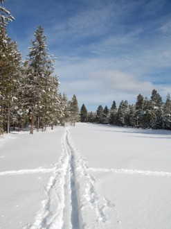 Line%20in%20the%20Snow