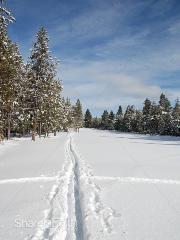 Line in the Snow