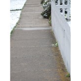 Sidewalk with Snow and Fence