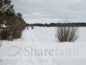 Snow,%20Tracks%20and%20Sky