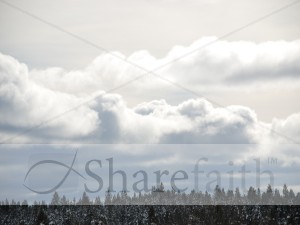 Winter Sky Photo