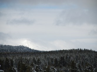 Snow Topped Forest and Clouds