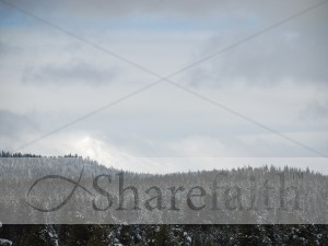 Snow%20Topped%20Forest%20and%20Clouds