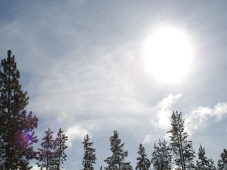 Radiant Sunlight Over Trees