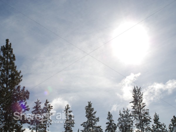 Radiant Sunlight Over Trees