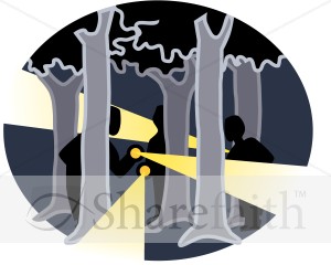 Trees and Flashlights