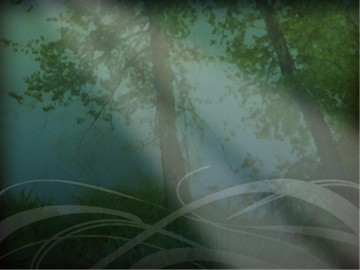 Darkened%20Forest