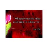 Rose%20with%20John%20Verse
