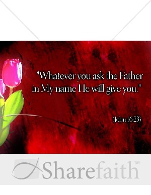 Rose with John Verse
