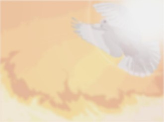Faded%20Dove%20and%20Fire%20Photo%20Background