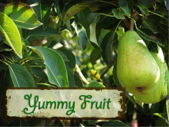 Yummy Fruit PowerPoint