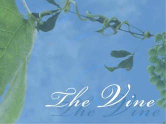The Vine PowerPoint