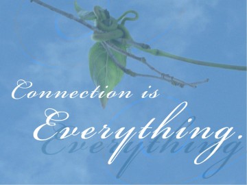 The Vine PowerPoint