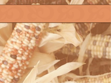 Indian Corn PowerPoint