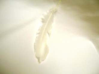 Angel Wing Feather Christian Background