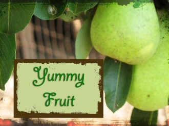 Yummy Fruit Worship Service Photograph