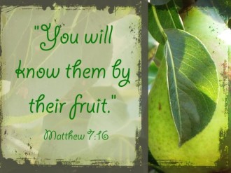 Know Them By Their Fruit